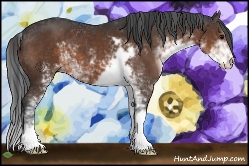 Horse Color:Brown Sabino