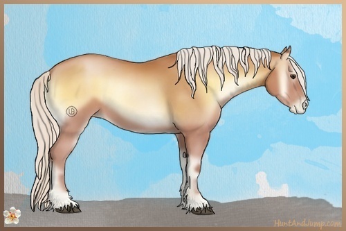 Horse Color:Silver Bay Pearl Onyx 