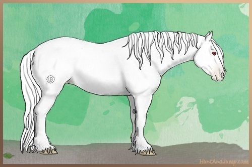 Horse Color:Silver Amber Champagne Chinchilla Pearl Dun Tobiano Rabicano