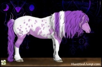 Horse Color:Watercolor Sable Cream Champagne Tobiano Appaloosa 