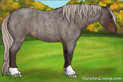 Horse Color:Silver Brown Roan Rabicano 