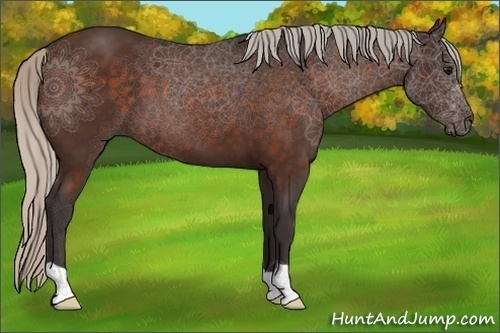 Horse Color:Silver Brown 