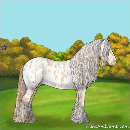 Horse Color:Gold Champagne Appaloosa  and Gold Champagne Splash Appaloosa 