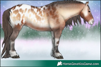 Horse Color:Bay Onyx Blanket 