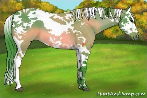 Horse Color:Watercolor Brown Splash Tobiano 