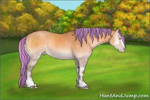 Horse Color:Painted Silver Sable Cream Champagne Onyx Sabino