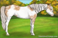 Horse Color:White Spotted Silver Sable Champagne Frame