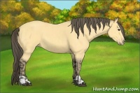 Horse Color:Buckskin and Amber Cream Champagne