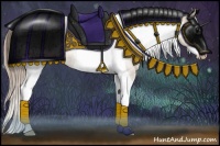 Horse Color:Black Pearl Sabino Tobiano Rabicano