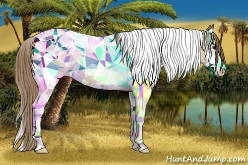 Horse Color:Black Pearl Sabino Tobiano 