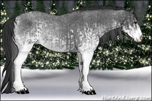 Horse Color:White Spotted Blue Roan Rabicano  and White Spotted Blue Roan Rabicano 