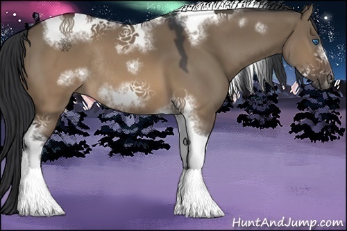 Horse Color:Brown Dun Sabino Tobiano Frame Rabicano
