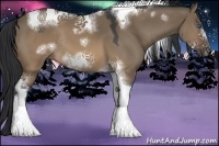 Horse Color:Brown Dun Sabino Tobiano Frame Rabicano 