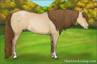 Horse Color:Brown Pearl Dun Sabino