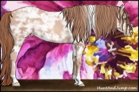 Horse Color:White Spotted Gold Champagne Ice Varnish 