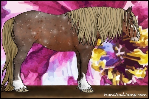 Horse Color:Liver Chestnut Sabino