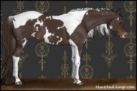 Horse Color:White Spotted Liver Chestnut Tobiano Varnish 