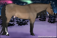 Horse Color:Gray Brown Roan Dun 
