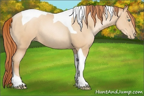 Horse Color:Sable Champagne Pearl Sabino Tobiano Rabicano