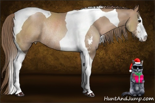 Horse Color:Black Pearl Sabino Tobiano Rabicano 