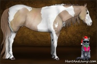 Horse Color:Black Pearl Sabino Tobiano Rabicano
