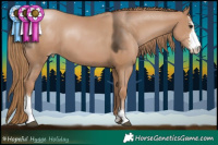 Horse Color:Black Pearl Sabino 