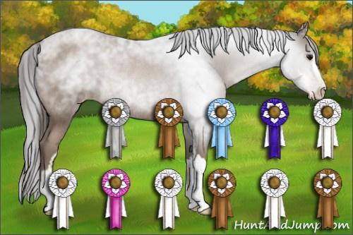 Horse Color:Gray Black Pearl Sabino Rabicano