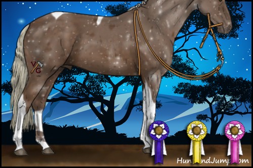 Horse Color:Liver Chestnut Mushroom Tobiano 