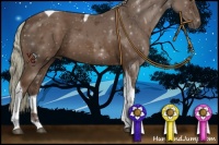 Horse Color:Liver Chestnut Mushroom Tobiano