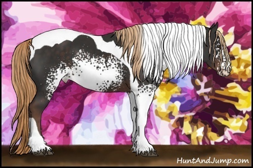 Horse Color:White Spotted Liver Chestnut Tobiano