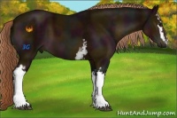 Horse Color:White Spotted Midnight Liver Chestnut 