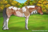 Horse Color:Chestnut Tobiano  and Bay Tobiano 