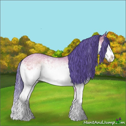 Horse Color:Watercolor White Spotted Bay Onyx Splash
