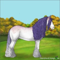 Horse Color:Watercolor White Spotted Bay Onyx Splash 
