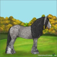 Horse Color:Grullo Ice Sabino