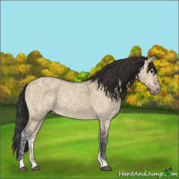 Horse Color:Brown Ice Dun Rabicano 
