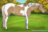 Horse Color:Chestnut Tobiano