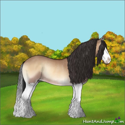 Horse Color:Bay Onyx Splash Rabicano 