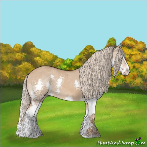 Horse Color:Red Dun Splash 