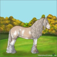 Horse Color:Red Dun Splash 