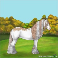 Horse Color:White Spotted Red Dun Splash 