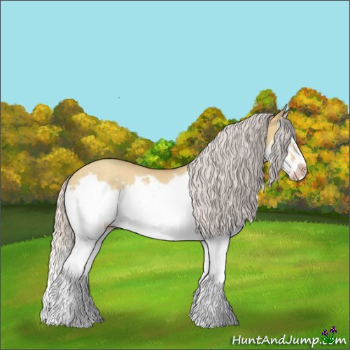 Horse Color:Silver Amber Champagne Dun Splash Frame Rabicano 