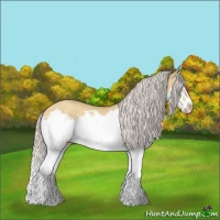 Horse Color:Silver Amber Champagne Dun Splash Frame Rabicano