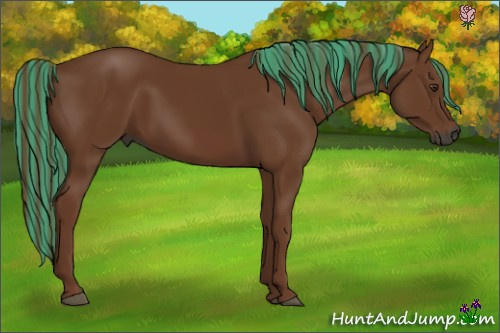 Horse Color:Gray Painted Chestnut 