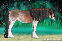 Horse Color:White Spotted Bay 