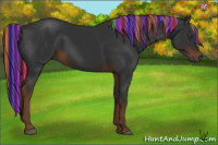 Horse Color:Gray Painted Liver Chestnut 