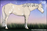 Horse Color:White Spotted Cremello Splash 