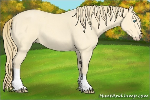 Horse Color:Perlino Roan 