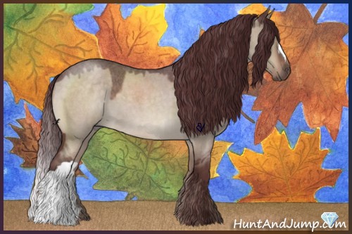 Horse Color:Chocolate Brown Roan Dun 