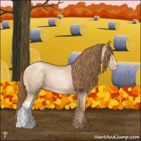 Horse Color:Buckskin Roan Pearl 